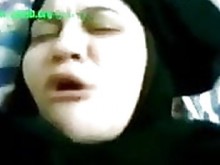 Egipto es una perra egipcia velada