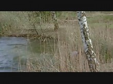 6 suecos en los Alpes