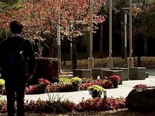 Tutor de avance coreano