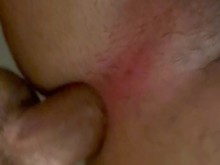 Papá se folla el culo peludo del oso A PELO