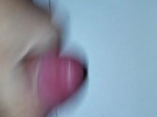 Paja en julio de 2017