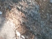 Mear en una carretera de montaña