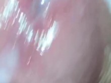 Ordeñando Polla - Parte 1