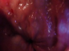 Mi primera transmisión en vivo con GoPro