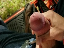 Diversión en la granja