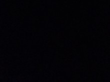 Follándome con mi consolador Cody Cachet de Hankey's Toys