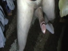 Fleshlight A la mierda en calcetines blancos