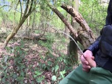 Me senté en un árbol, me saqué la polla y comencé a orinar.