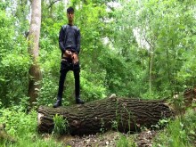 Orina en el tronco de un árbol