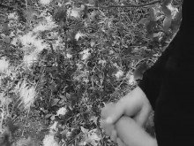 Gran corrida - vídeo en blanco y negro