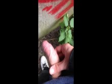 Sacudidas en publico