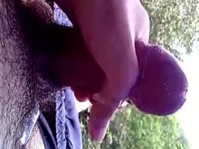 Paja en el bosque