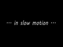 Electroestimulación - ordeño de semen